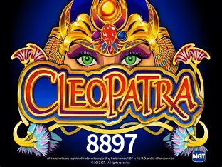 8897 cadastro — tela de formulário no app oficial